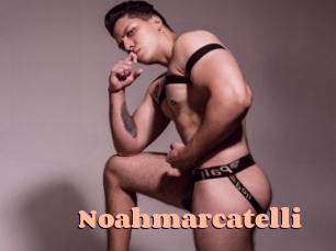 noahmarcatelli Chatte Rasée