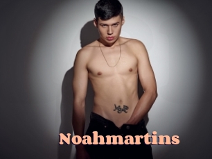 noahmartins Chatte Rasée