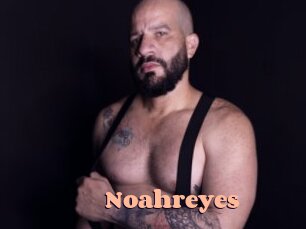 noahreyes Chatte Rasée