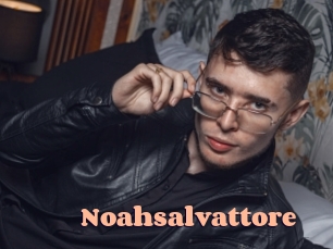 Noahsalvattore