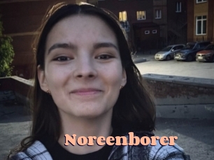 Noreenborer