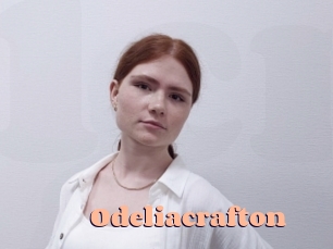 odeliacrafton Chatte Rasée