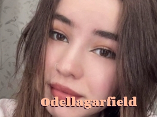 Odellagarfield