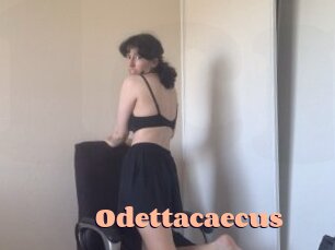 Odettacaecus