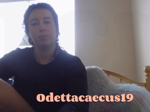 Odettacaecus19