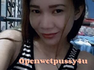 openwetpussy4u Chatte Rasée