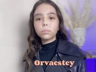 orvaestey Chatte Rasée