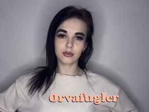 orvafugler Chatte Rasée