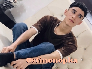 ostinonopka Chatte Rasée
