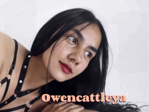 Owencattleya