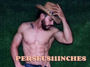PERSEUS11INCHES