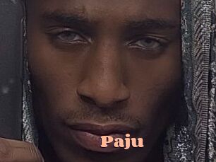 Paju