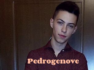 Pedrogenove