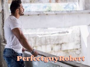 PerfectguyRobert