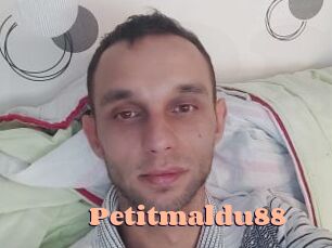 Petitmaldu88