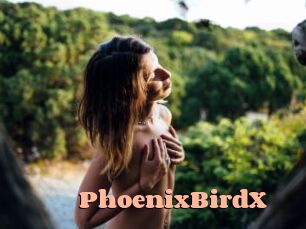 PhoenixBirdX