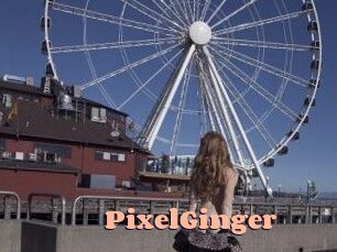 PixelGinger