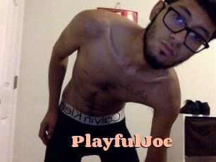 PlayfulJoe
