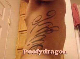 Poofydragon
