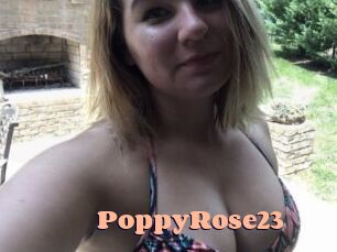 PoppyRose23