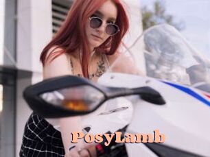 PosyLamb