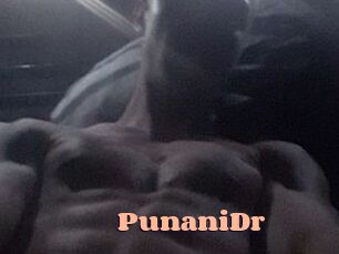 PunaniDr