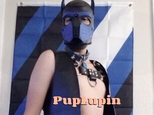 PupLupin Chatte Rasée