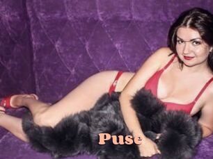 Puse