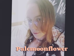 Palemoonflower