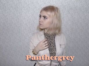 Panthergrey