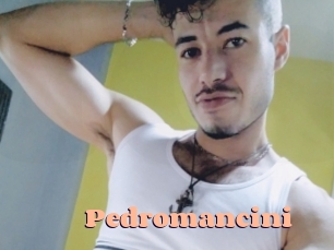 Pedromancini
