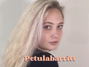 Petulabarritt