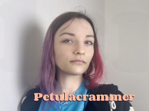 Petulacrammer