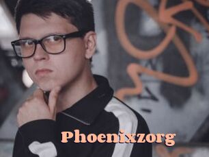Phoenixzorg