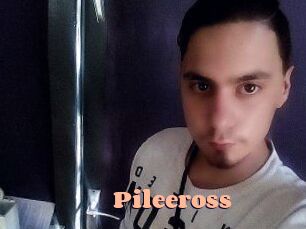 Pileeross