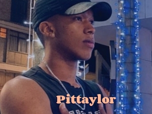 pittaylor Chatte Rasée