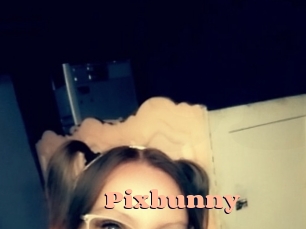 Pixbunny