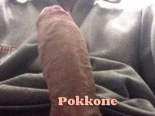 pokkone Chatte Rasée