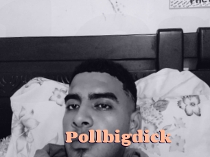 pollbigdick Chatte Rasée