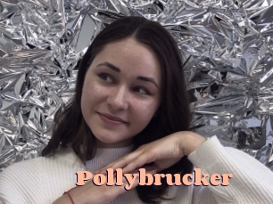 Pollybrucker