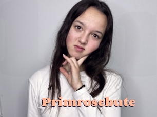 Primrosebute
