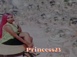 Princess23