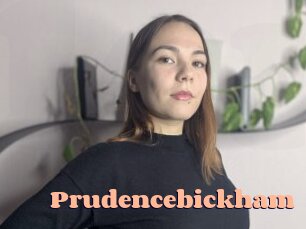 prudencebickham Chatte Rasée