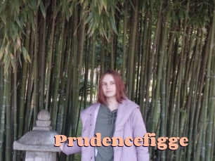 Prudencefigge