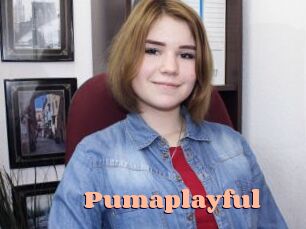 Pumaplayful