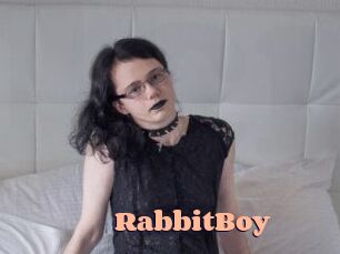 RabbitBoy