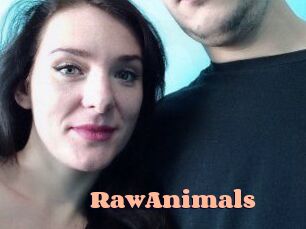 RawAnimals