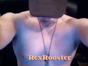 RexRooster Chatte Rasée