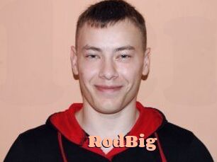 RodBig Chatte Rasée