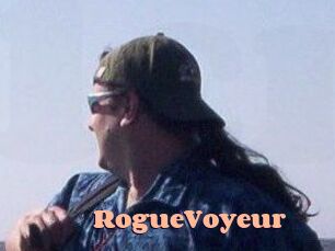 RogueVoyeur